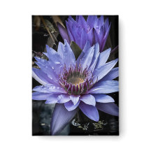 Knappen "Nytt blått"