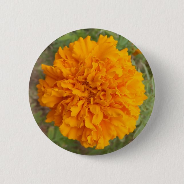 Knappen orange Carnation Knapp (Framsida)