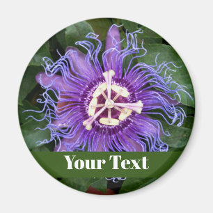 Knappen PassionFlower med Namn Magnet