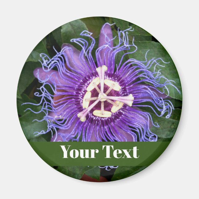 Knappen PassionFlower med Namn Magnet (Framsidan)
