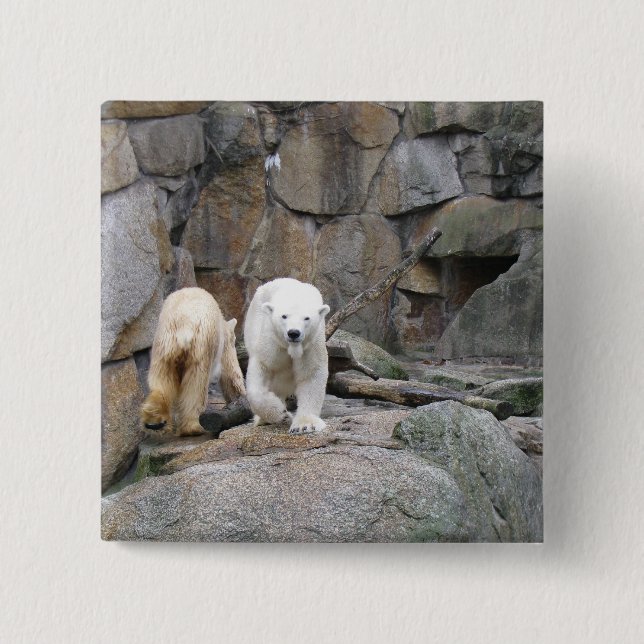 Knappen polar BEAR Knapp (Framsida)
