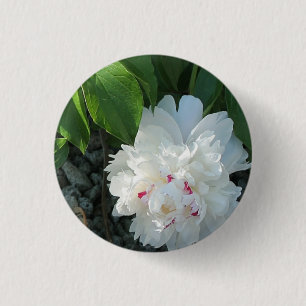 Knappen Precious Peony Knapp