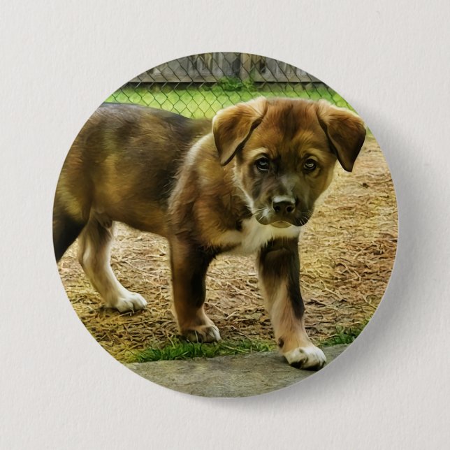 Knappen Puppy Curtness T-Shirt Knapp (Framsida)