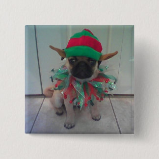 Knappen Puppy Pug Elf2, stift Knapp
