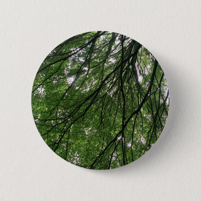 Knappen Ramar och Löv Knapp (Framsida)