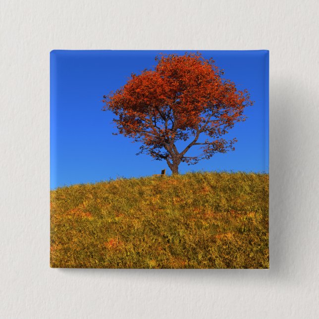 Knappen Rensa höstdag Knapp (Framsida)