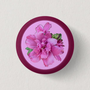 Knappen rosa blomma knapp