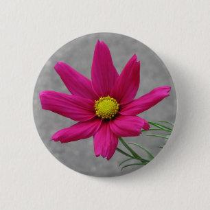 Knappen rosa blomma knapp