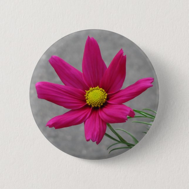 Knappen rosa blomma knapp (Framsida)