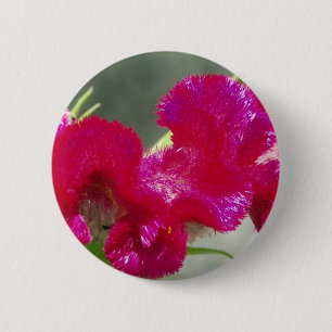 Knappen rosa blomma knapp