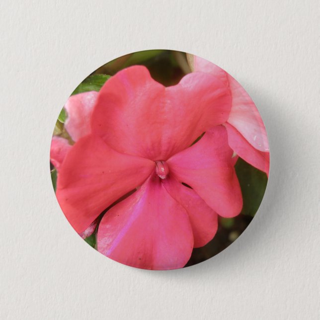 Knappen rosa Impatiens blomma makro Knapp (Framsida)