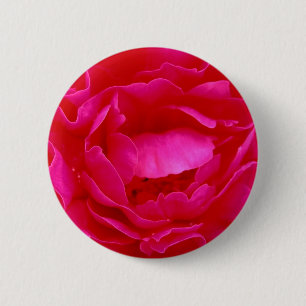 Knappen rosa ros - Anpassadet Knapp