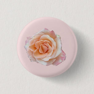 Knappen rosa ros knapp