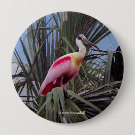 Knappen Roseat Spoonbill Knapp