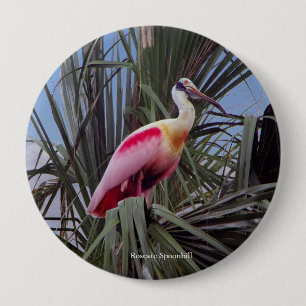 Knappen Roseat Spoonbill Knapp