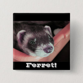 Knappen Sable Ferret Knapp