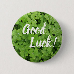 Knappen Shamrock lycka till pinback Knapp