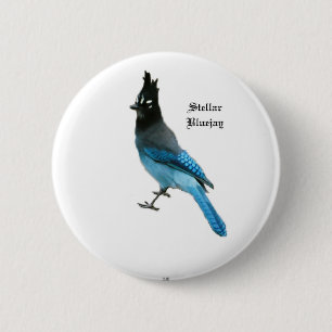 knappen Stellar Blue Jay Knapp