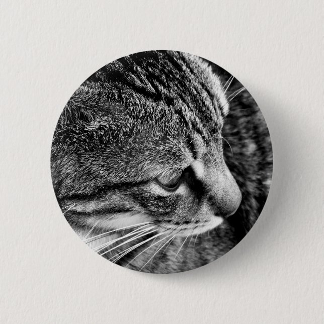 Knappen Svartvit katt Knapp (Framsida)