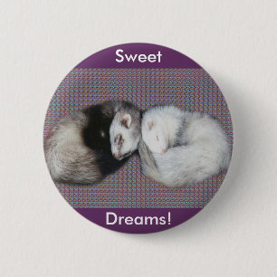 Knappen Sweet Dreams Ferrets Knapp