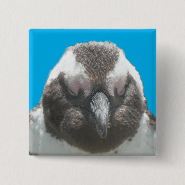 Knappen sydafrikanska Penguin Ansikte Knapp