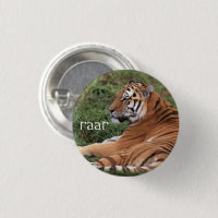 Knappen Tiger