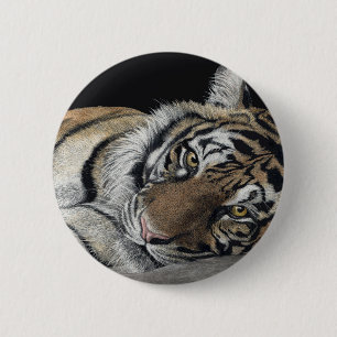 Knappen Tiger Knapp