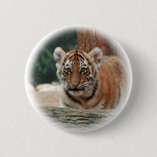 Knappen Tiger Unge Knapp