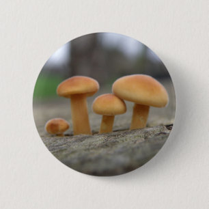 Knappen Tiny Toadstools Macro Knapp