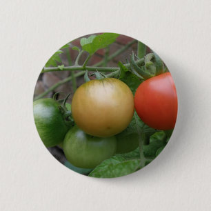Knappen Traffic Light Tomates Knapp