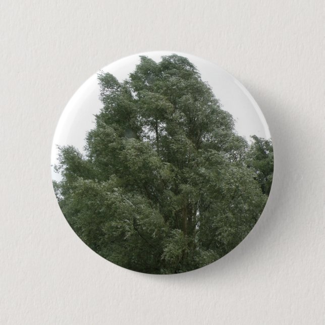 Knappen Treetops Knapp (Framsida)