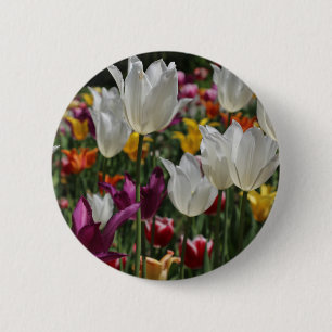 Knappen Tulips Knapp