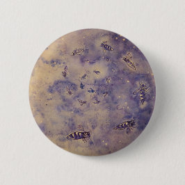 Knappen Utrymmesbin Knapp