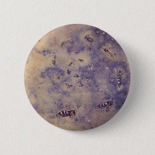 Knappen Utrymmesbin Knapp