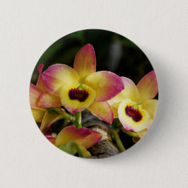 Knappen Vibrant Orchid Pin Knapp