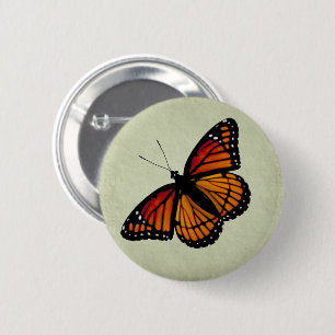 Knappen Viceroy Butterfly Knapp