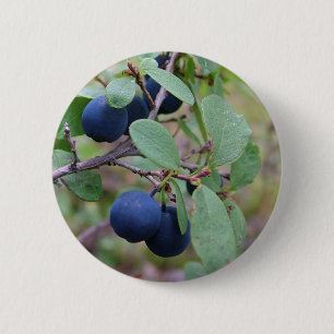 Knappen vild Berries Knapp