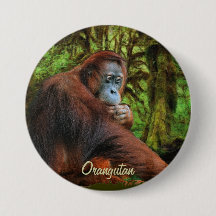 Knappen vild Orangutan och Jungle Primate Art