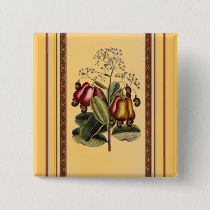 Knappen vintage Botantisk illustration Knapp