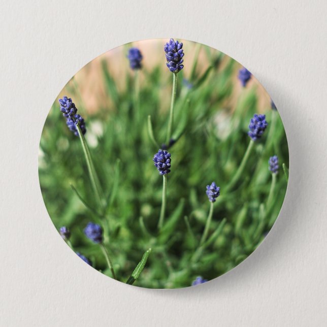 Knappen Violet Blommor Knapp (Framsida)