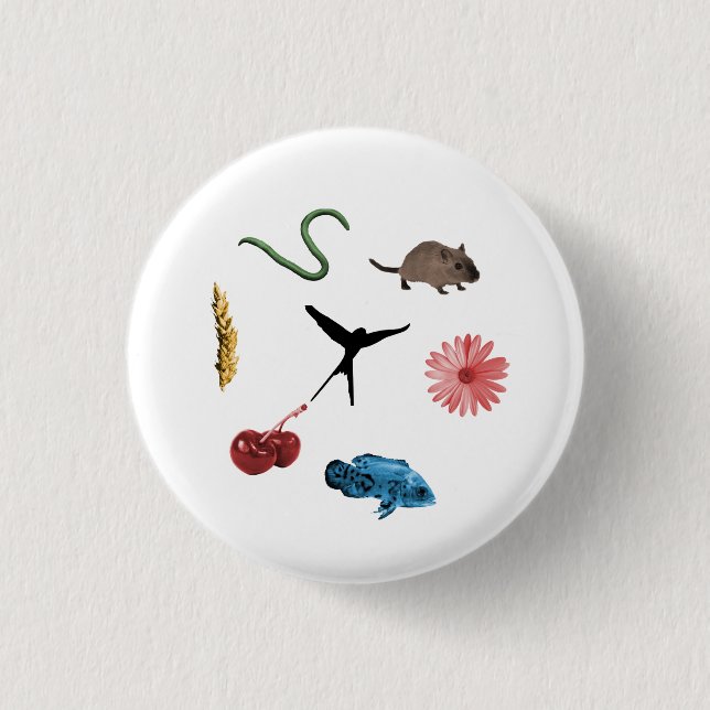 Knappen Wingspan All Food Tokens Knapp (Framsida)