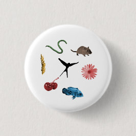 Knappen Wingspan All Food Tokens Knapp