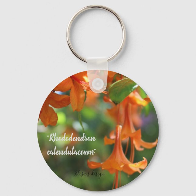 Knappens Nyckelring (Framsida)