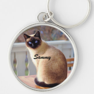 Knappnyckelkedja Rund Silverfärgad Nyckelring