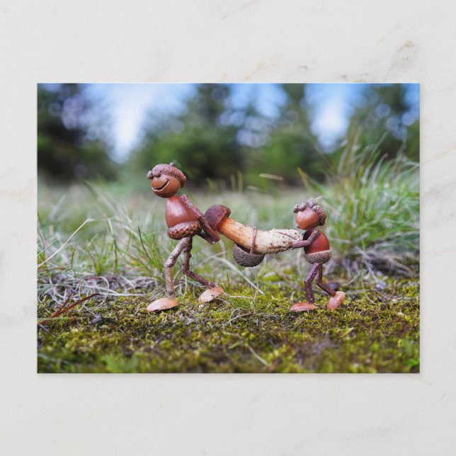 Knäppor med stor svamp i basket vykort (Framsida)