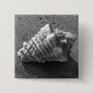 Knappstift för Conch Seashell Sand Beach-knapp Knapp