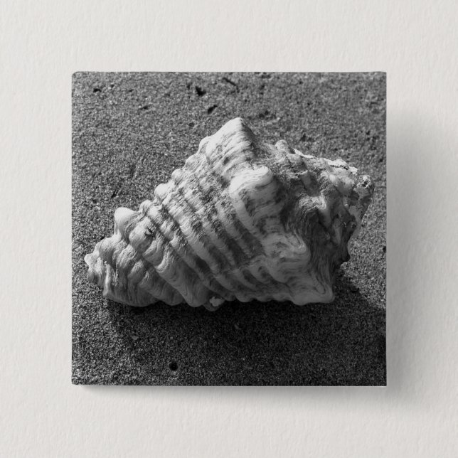 Knappstift för Conch Seashell Sand Beach-knapp Knapp (Framsida)