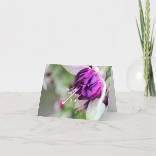 Knappt Lila Fushia II Helgkort (Framsida)