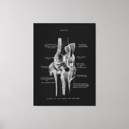 Knee Joints Anatomy Art Canvastryck