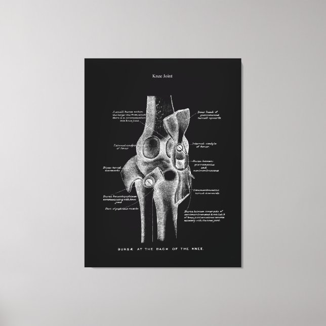 Knee Joints Anatomy Art Canvastryck (Framsida)